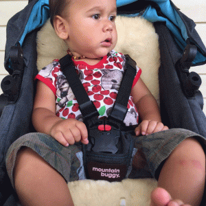 Toddler sitting in his stroller on a lambskin liner, looking to his left