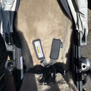 Mushroom colour sheepskin liner on Uppababy Vista