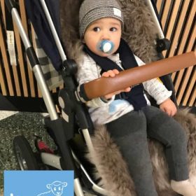 Baby in stroller with long wool coffee sheepskin liner