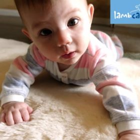 baby girl on lambskin Lambcare